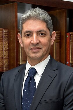 Ambassador Dr. Reda Mansour